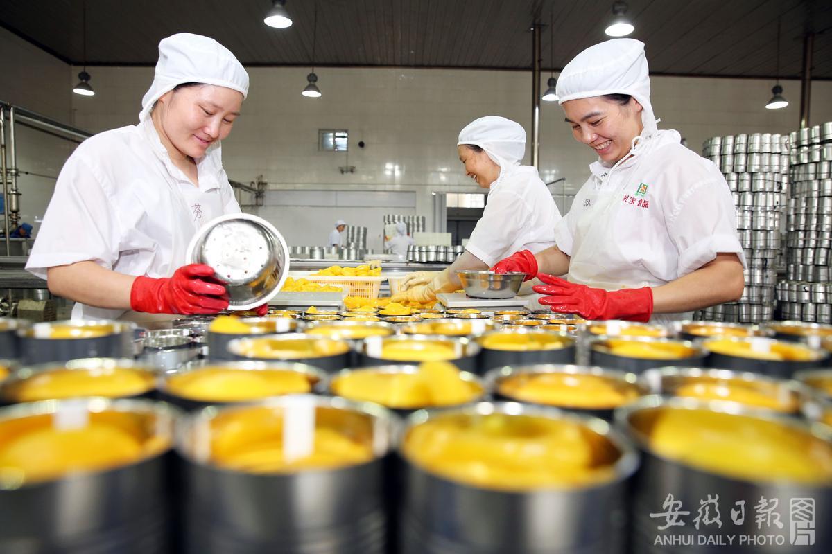 水果收获季，加工出口忙 甜蜜产业链叩开全球市场